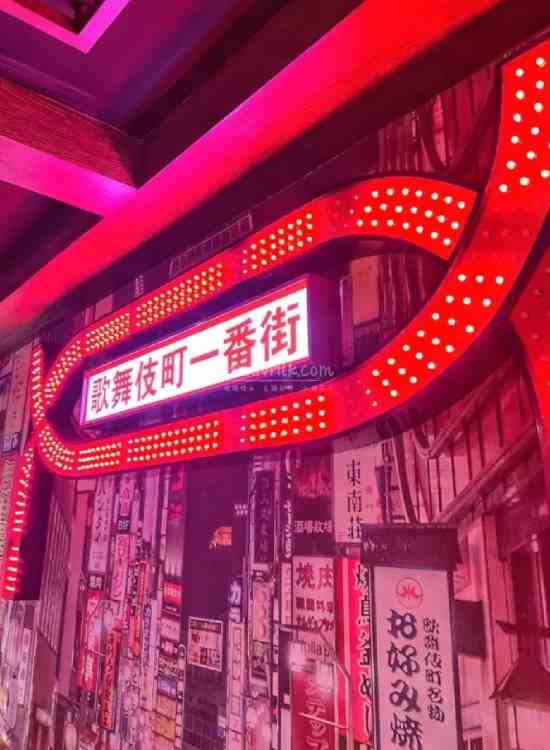 西安桑拿保健的日式美味，当然非九本莫属啦！插图2