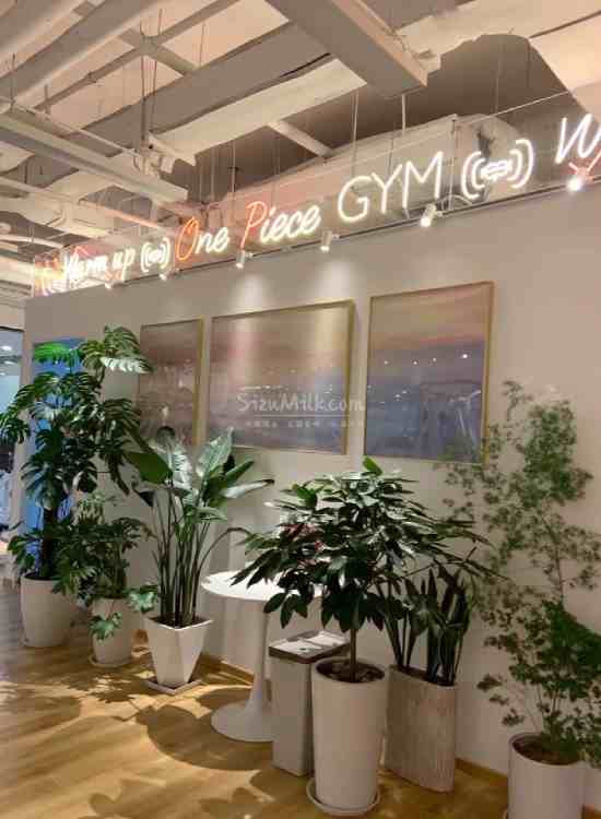西安保健减压工作室探店-OP健身生活馆插图