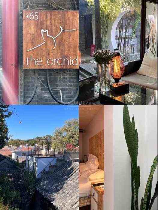 体验西安按摩保健后住进四合院里看人间烟火–The Orchid Hotel插图3