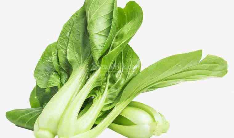 西安思足点评网建议女性朋友多吃这些抗衰的食物插图