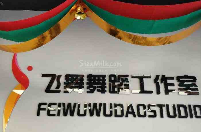 碑林家庭式舞蹈工作室让你这个冬天不再寒冷–飞舞舞蹈工作室(雍和宫店)插图