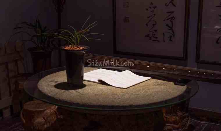 一次spa的美妙经历确实可以带给人愉悦和放松的体验插图