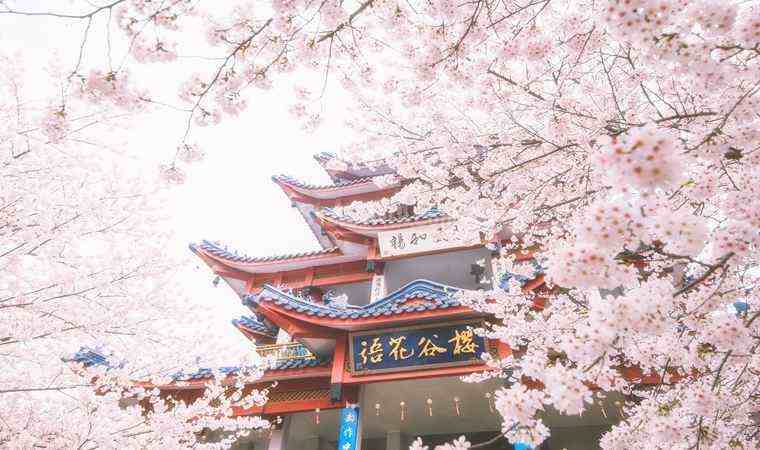 西安桑拿俱乐部，追求健康与平衡的桑拿天地插图