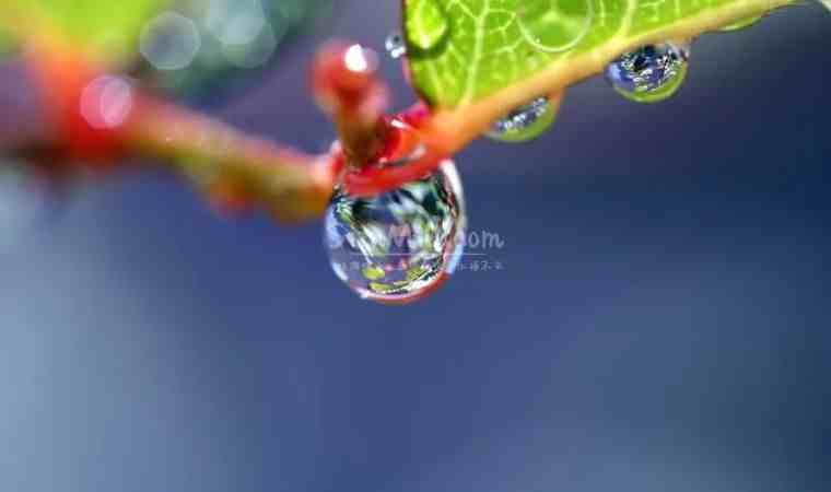 6月最适合桑拿的几个小技巧–西安桑拿会所网精选插图2