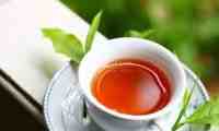 西安品茶网建议爱桑拿的朋友多喝红茶