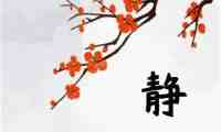 静雅spa