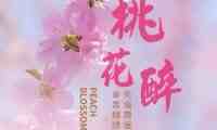 桃花醉SPA会馆