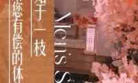 梵愈柔式桑拿SPA