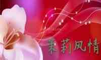 茉莉风情