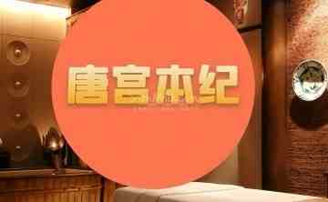 唐宫本纪