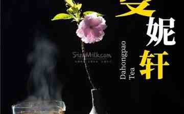 曼妮轩