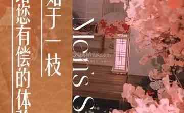 梵愈柔式桑拿SPA