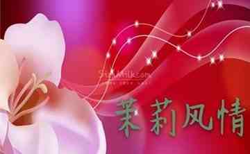 茉莉风情