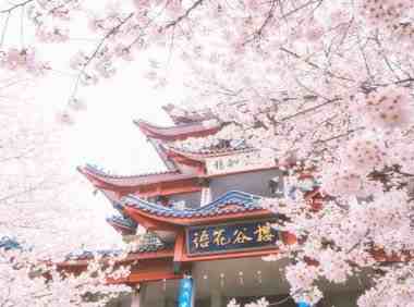 西安桑拿俱乐部，追求健康与平衡的桑拿天地