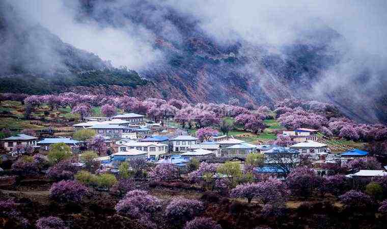 西安男士桑拿会所如何避坑–西安桑拿SPA按摩网防坑指南插图