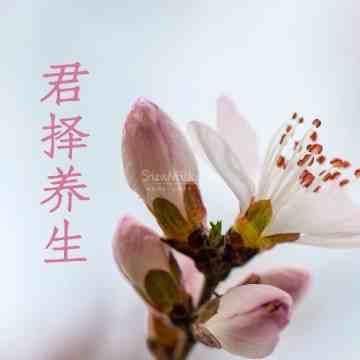 君择桑拿