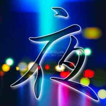 夜都汇