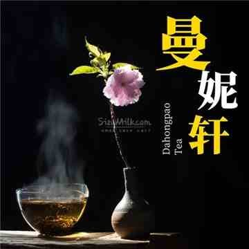 曼妮轩插图