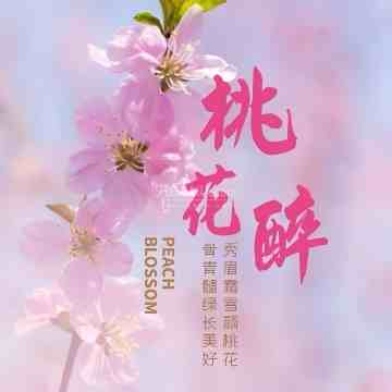 桃花醉SPA会馆