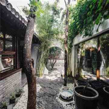 The Orchid Hotel