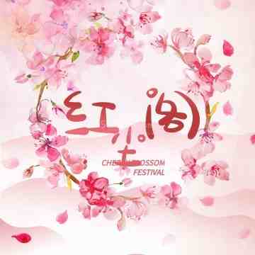 红尘阁插图