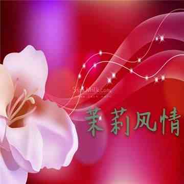 茉莉风情插图